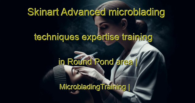 Skinart Advanced microblading techniques expertise training in Round Pond area | MicrobladingTraining | MicrobladingClasses | SkinartTraining-United States